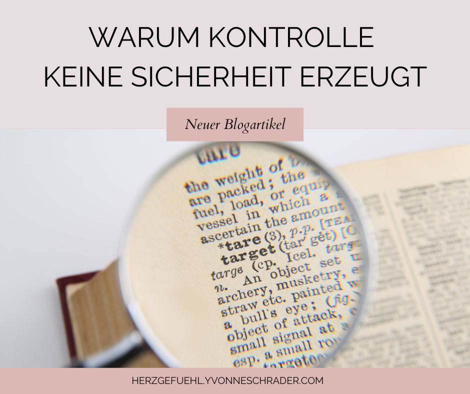 Blogartikel: Warum Kontrolle keine Sicherheit erzeugt